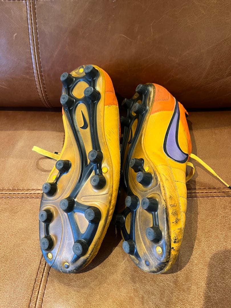 ティエンポレジェンド5 HG 25.5cm