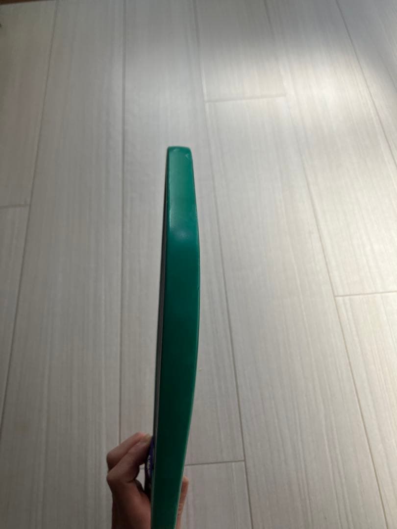 【美品】proton Project Peacock ピックルボール