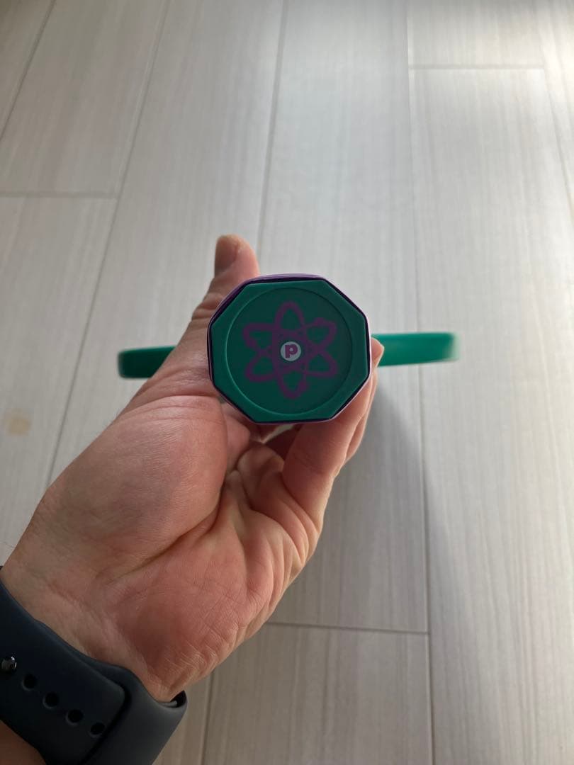 【美品】proton Project Peacock ピックルボール