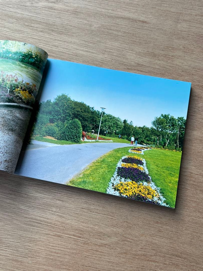 Hyper Ballad: Icelandic Suburban ホンマタカシ