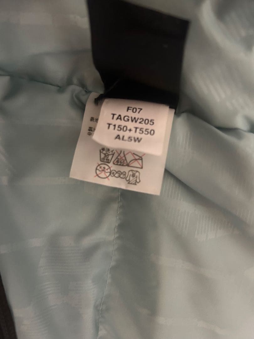 ノースフェイス　クロニクル　ダウンジャケット