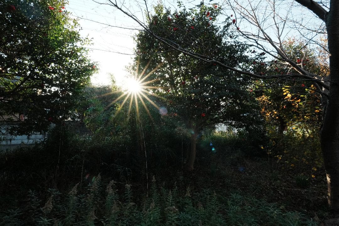 未使用級美品 SONY SEL2070G 旅も街撮りも1本完結 激レア出品