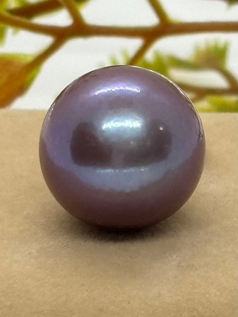 ♥♥まいまい♥♥ 　（d379）