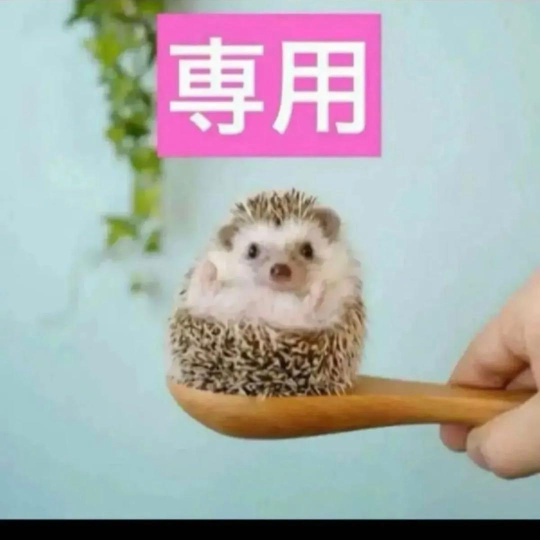 2点、ケース付きイドラ1N、カプチュールアイクリーム