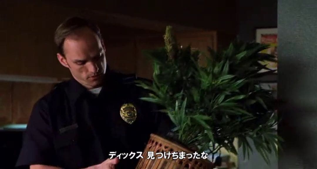 friday after next フライデーアフターネクスト Ice Cube