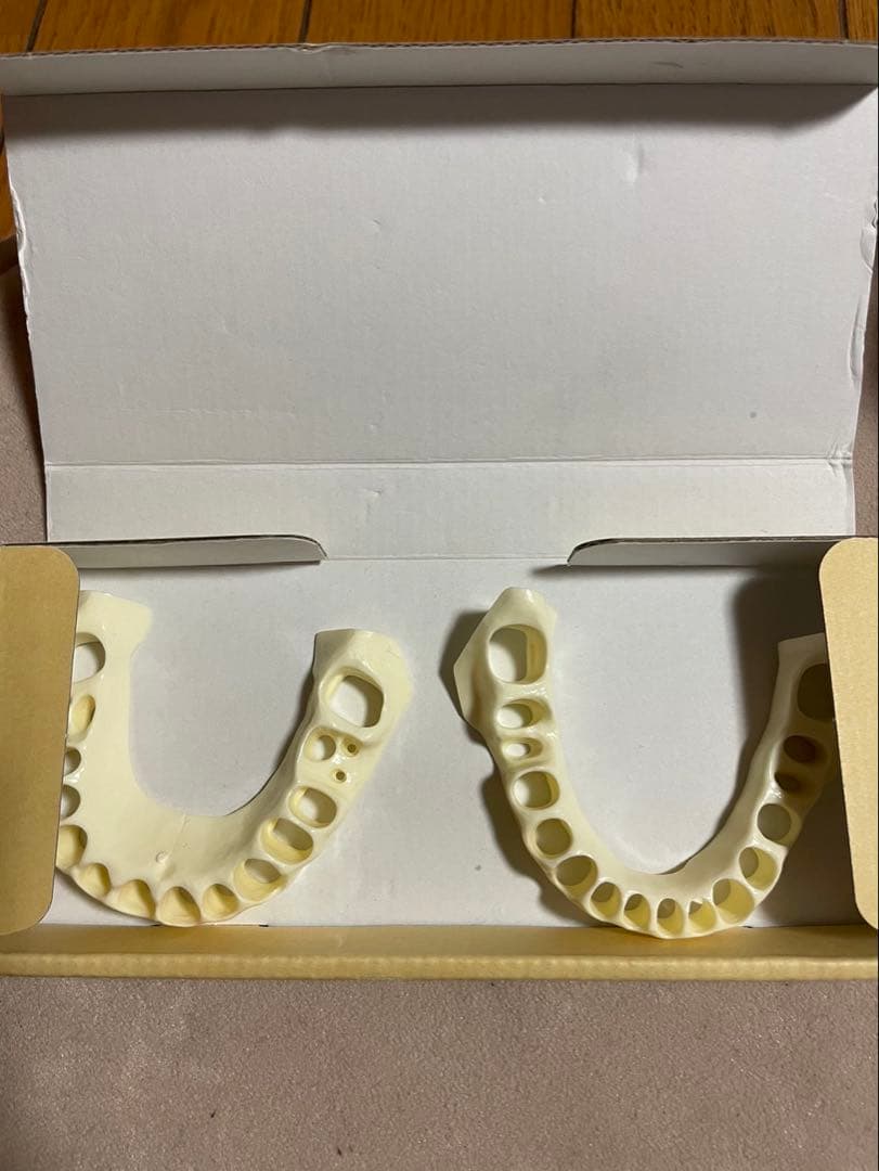 シートマスクと歯科模型セット