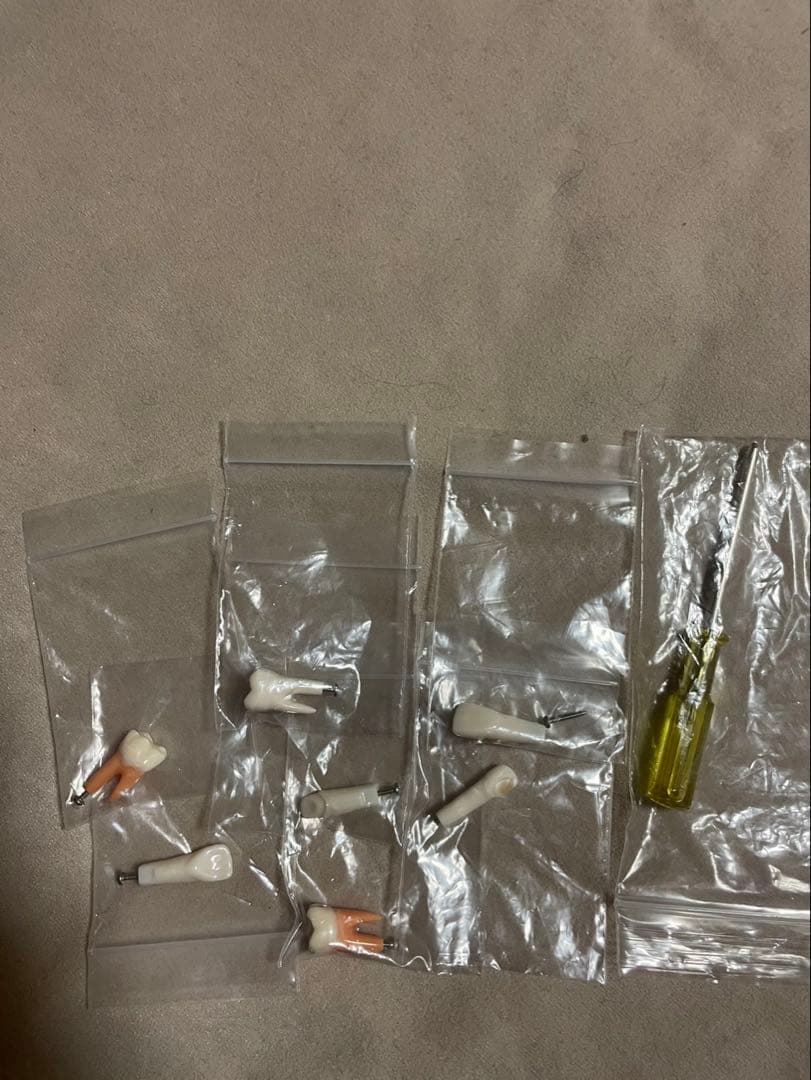 シートマスクと歯科模型セット