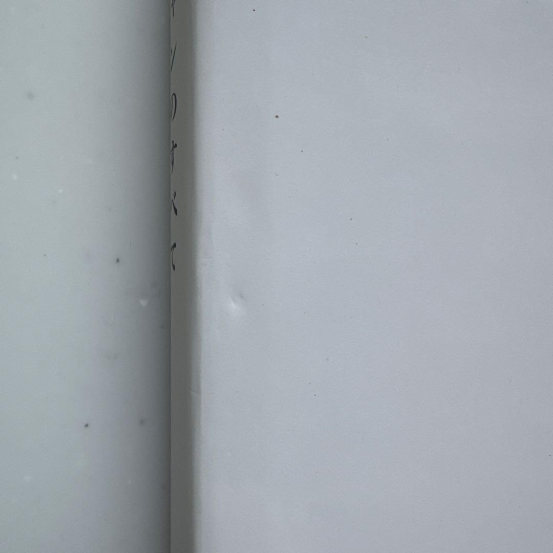 Leslie レスリー・チャンのすべて　写真集　張国栄