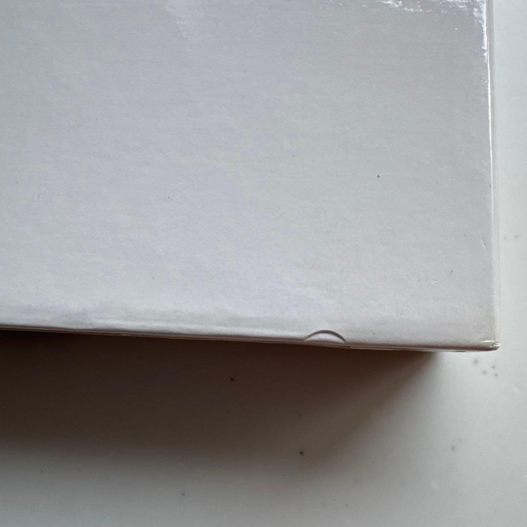 Leslie レスリー・チャンのすべて　写真集　張国栄