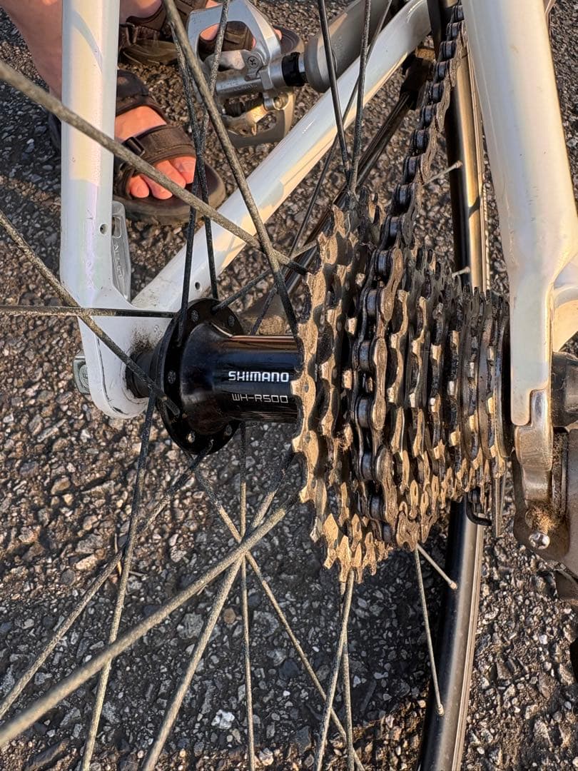 [ぼん] ANCHOR ロードバイク(レディース)