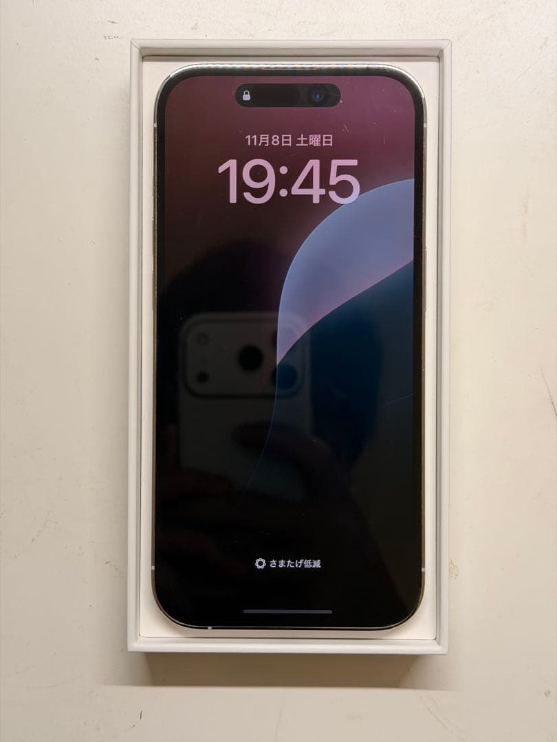 Apple iPhone 14 Pro シルバー 本体