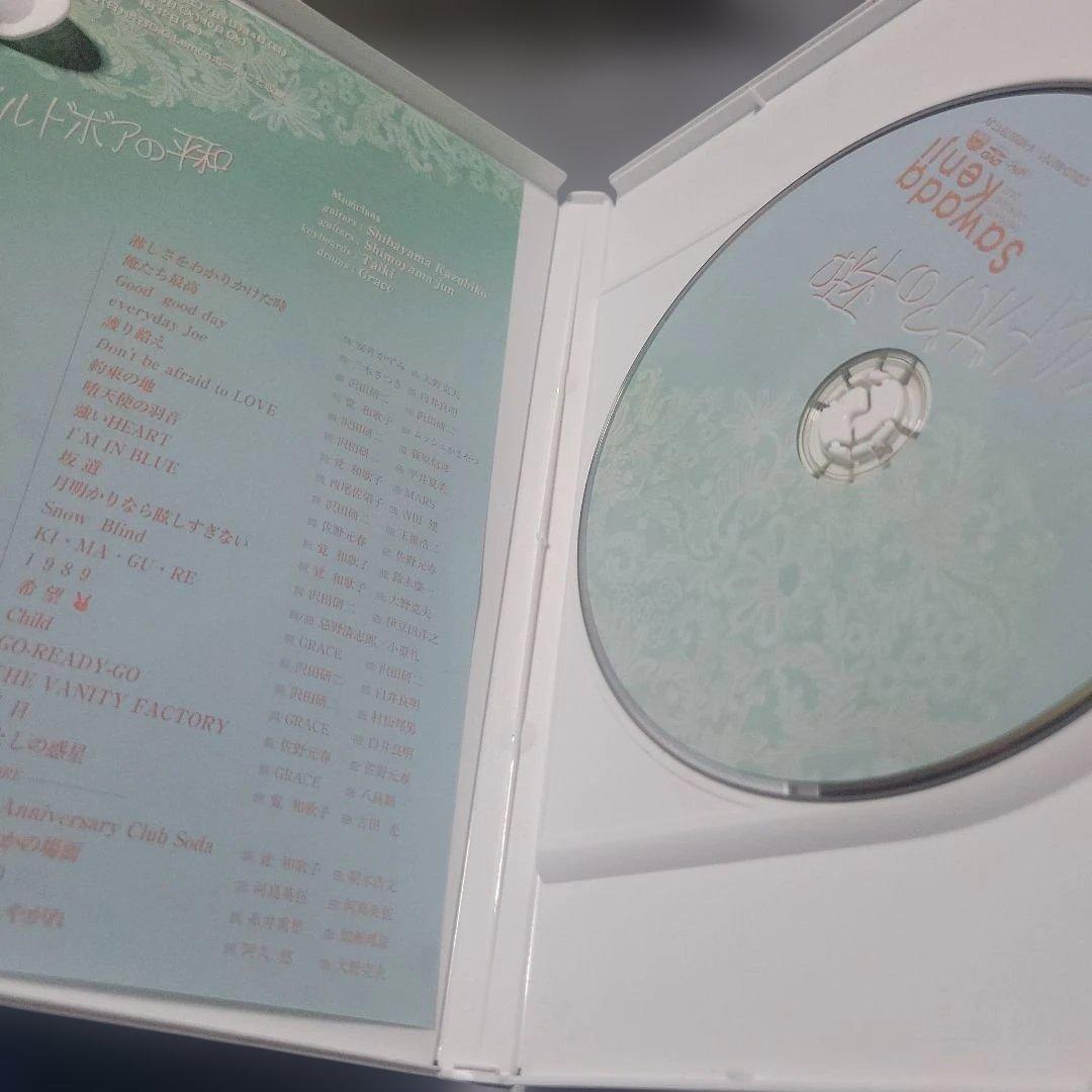 沢田研二/ワイルドボアの平和 SHOGATSU CONCERT 2007 DVD