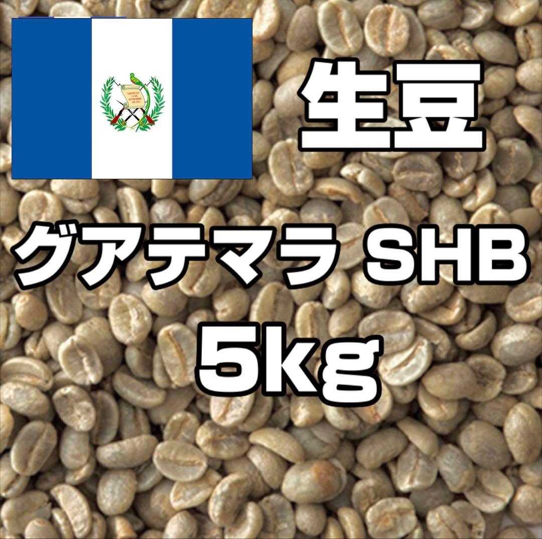 【コーヒー生豆】グアテマラ SHB 5kg ※送料無料！
