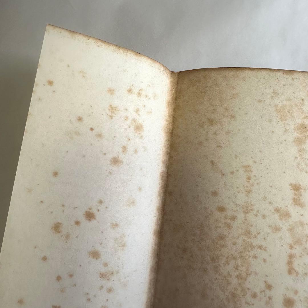 アーサー王の剣 King Arthur's Sword 洋書絵本