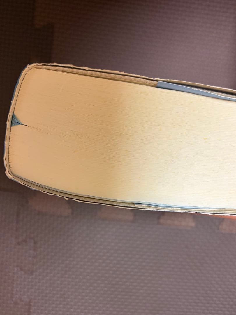 新改訳聖書 第３版 中型