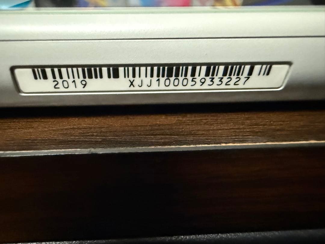 Nintendo Switch Lite ポケモン　ザシアン　マゼンタ