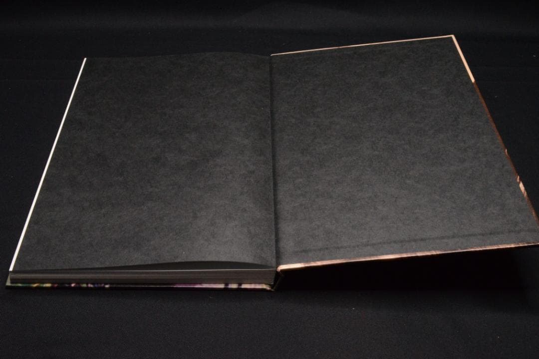 【 Richard Prince：Women】Richard Prince　新品