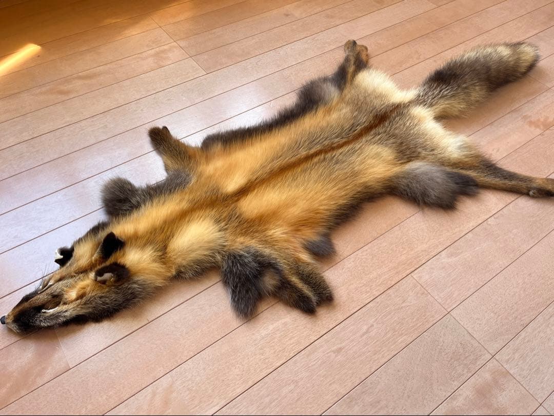 超希少 幻の十字ギツネ / クロスフォックス リアルファー C5★ラグ 毛皮