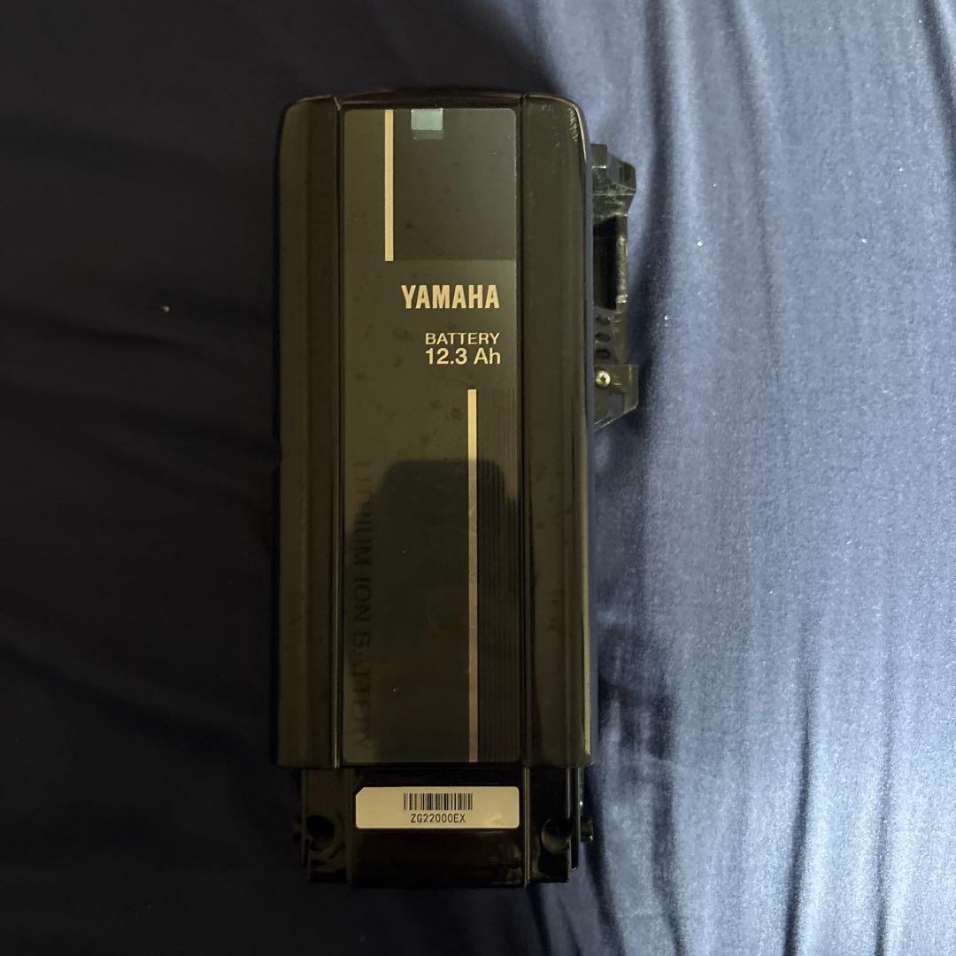 電動自転車の電池