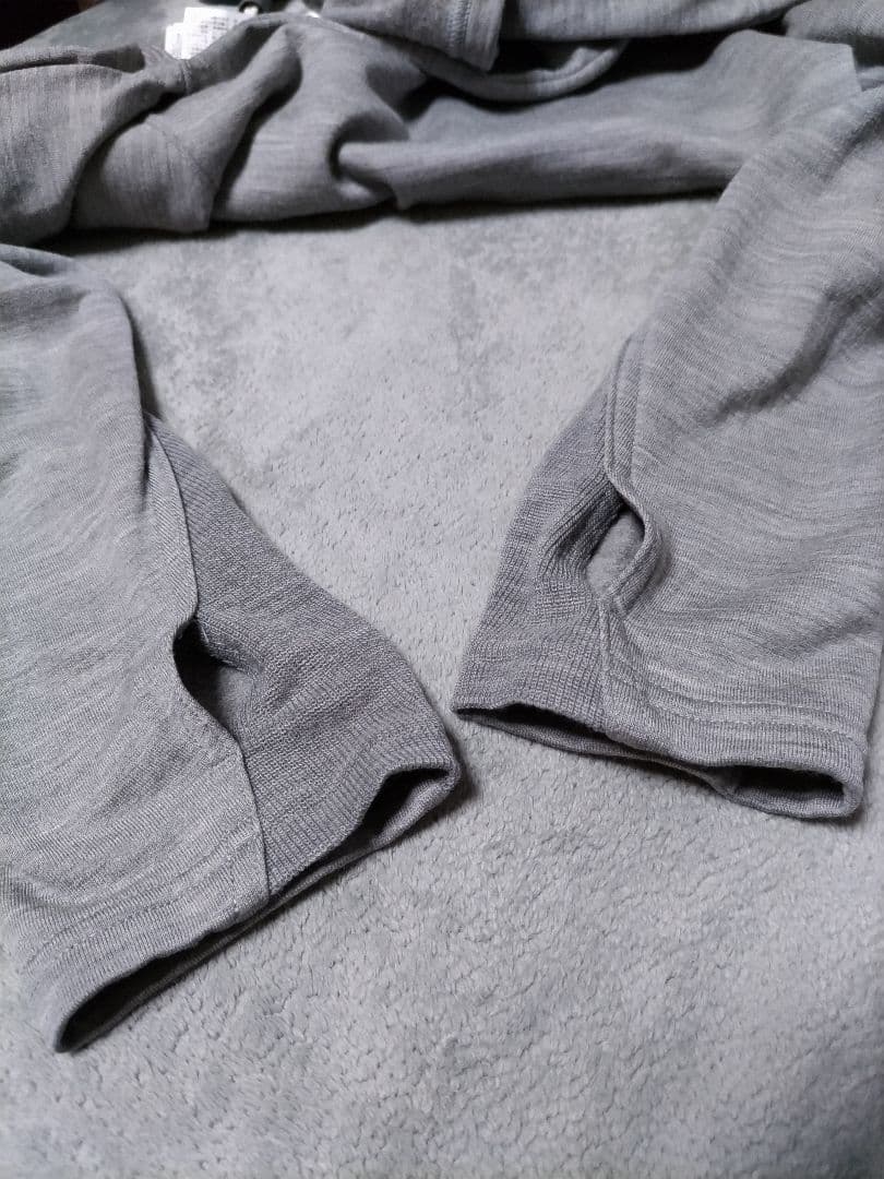 アイスブレーカー　メリノウール　560 REALFLEECE ロングスリーブ