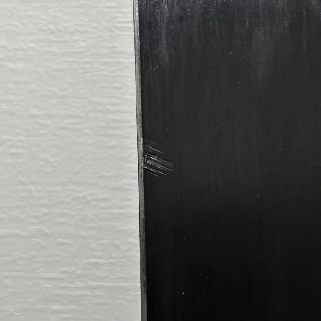 【即納】FIELD EARTH フィールドアース X1 パウダーボード