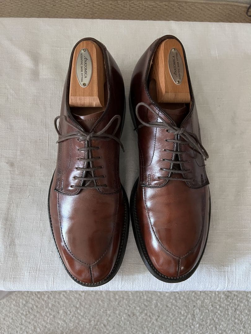 靴 ANATOMICA by Alden V-TIP CALF BROWN 6h