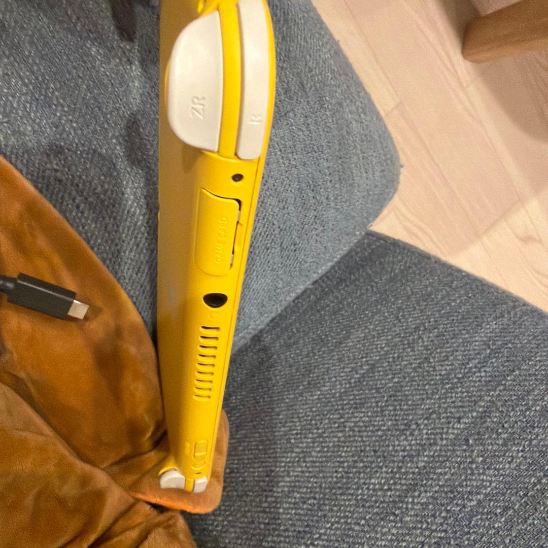 ジャンク出品Switch とSwitchLight本体 Joy-Con