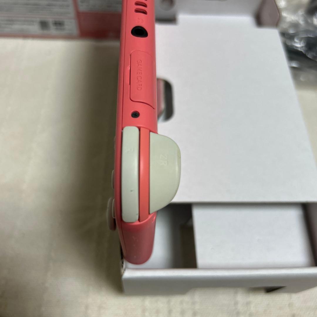 Nintendo Switch lite ケース付き