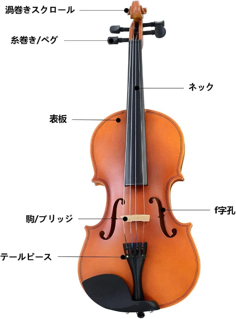 M2206-121-86】バイオリン 3/4 初心者セット ヴァイオリン 弓2本