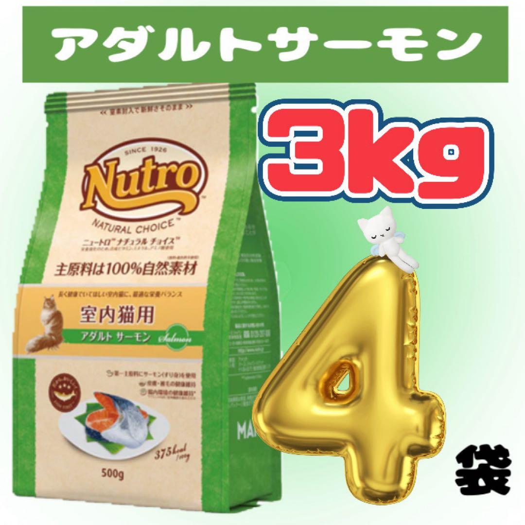 ニュートロ　アダルトサーモン　プロ用 ドライフード 3kg×4袋