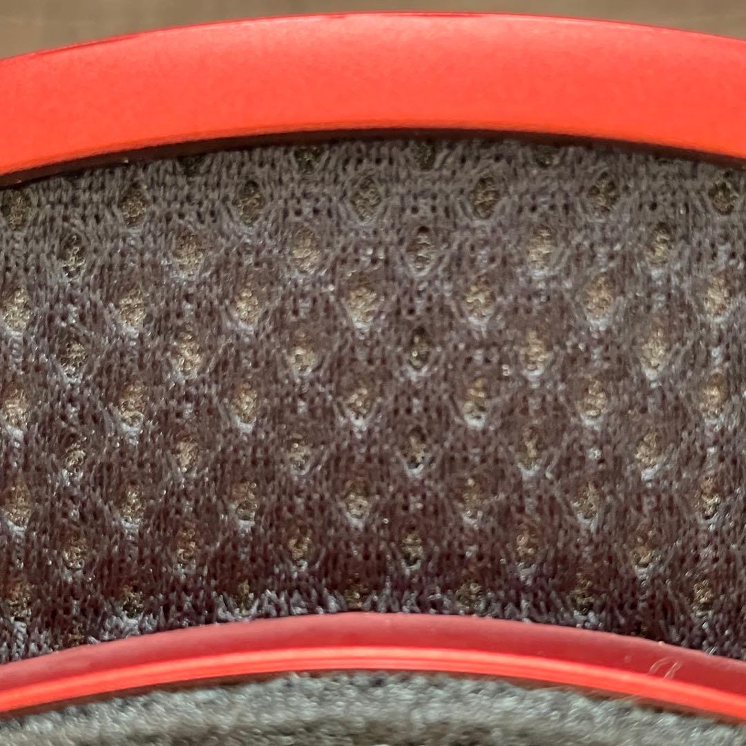 SWANS ゴーグル ラカン RA-MDH-CU-LG (R/GM) 24/25