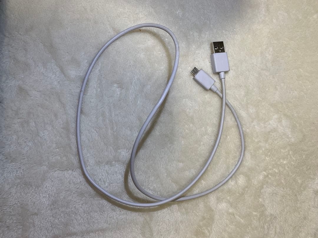 任天堂 Nintendo Switch Lite 本体 グレー【人気商品】