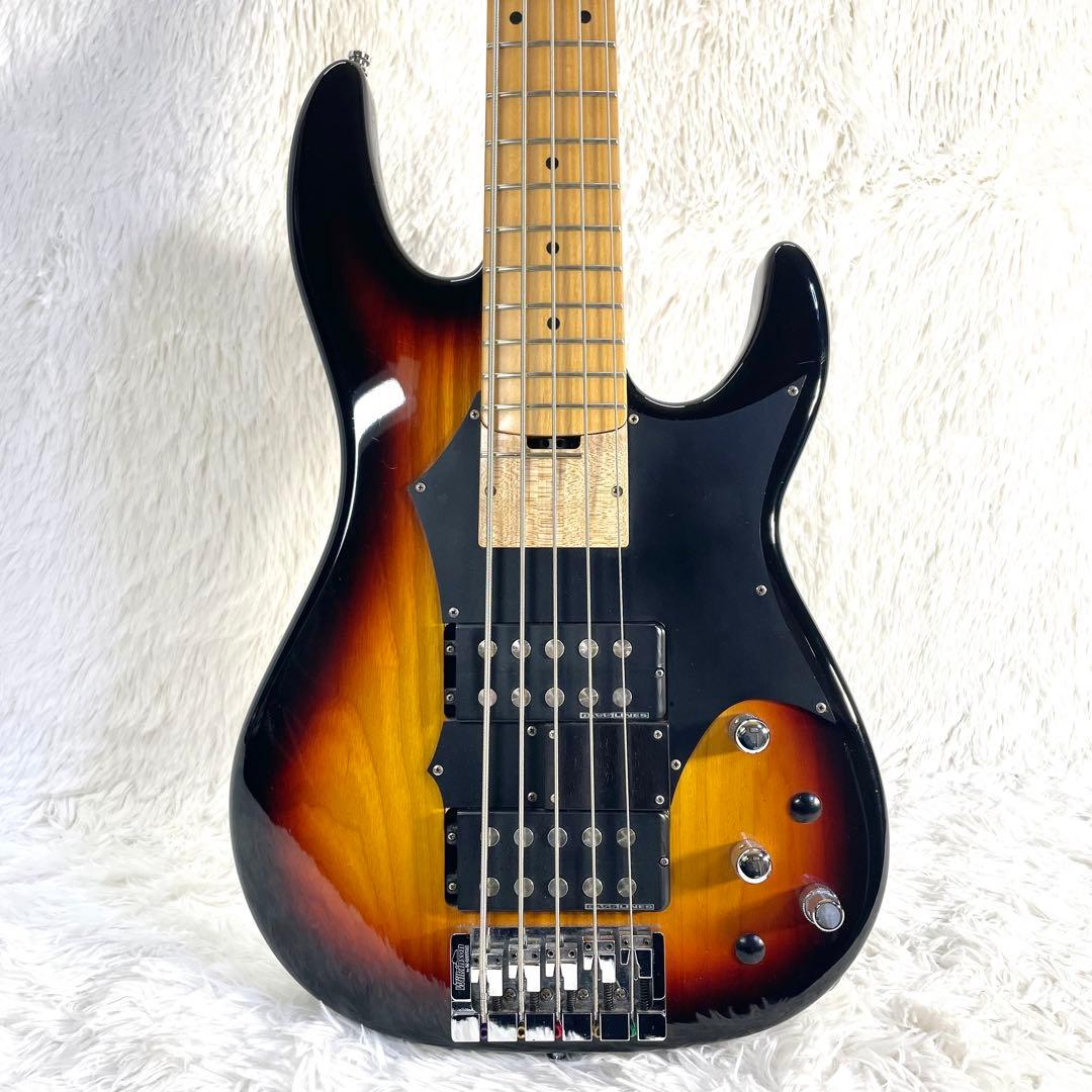 【激レア】ESP AP-190 Custom 5弦ベース IKUO シグネイチャ