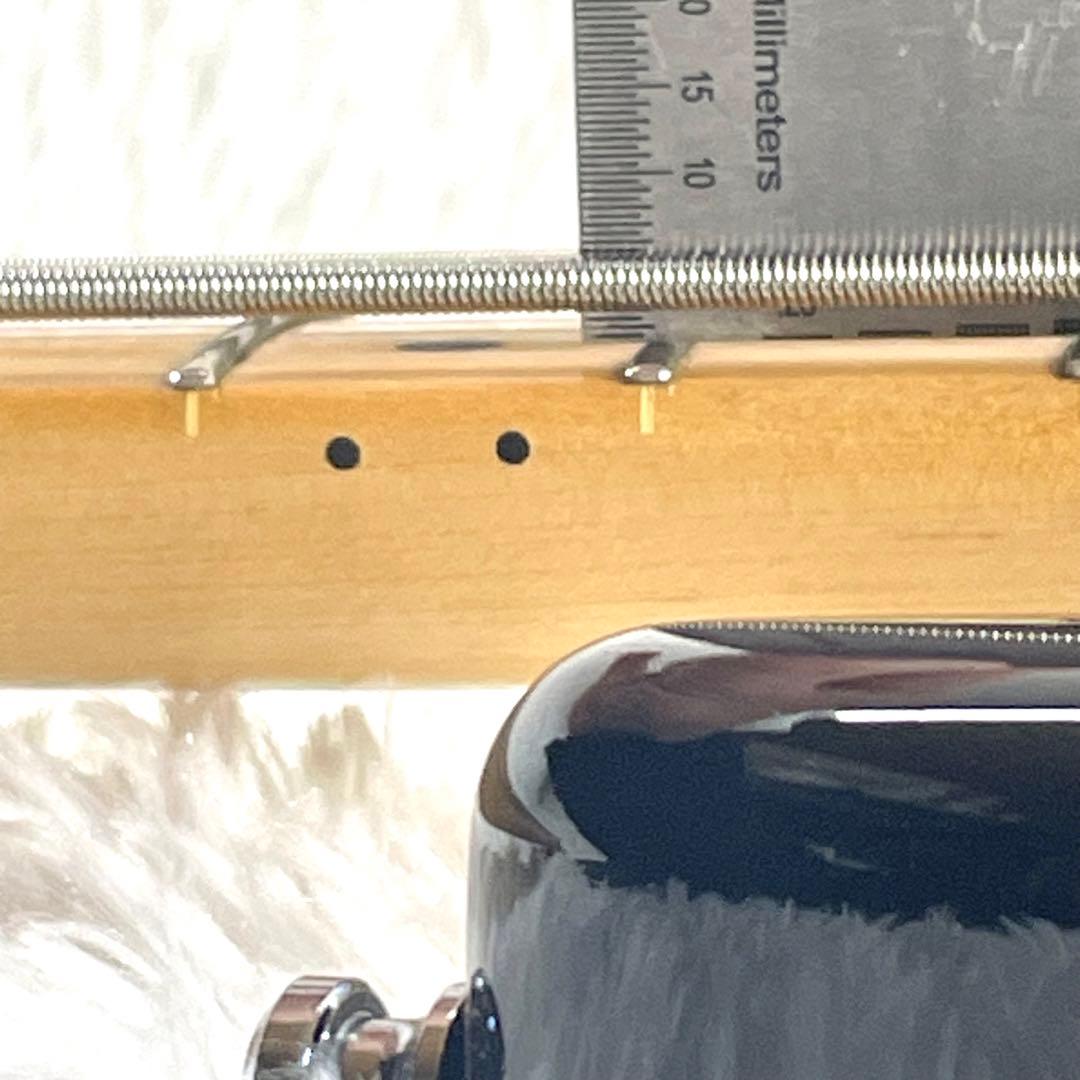 【激レア】ESP AP-190 Custom 5弦ベース IKUO シグネイチャ