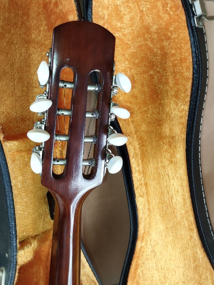 【美品】SUZUKI M-30マンドリン 8弦 ハードケース付き