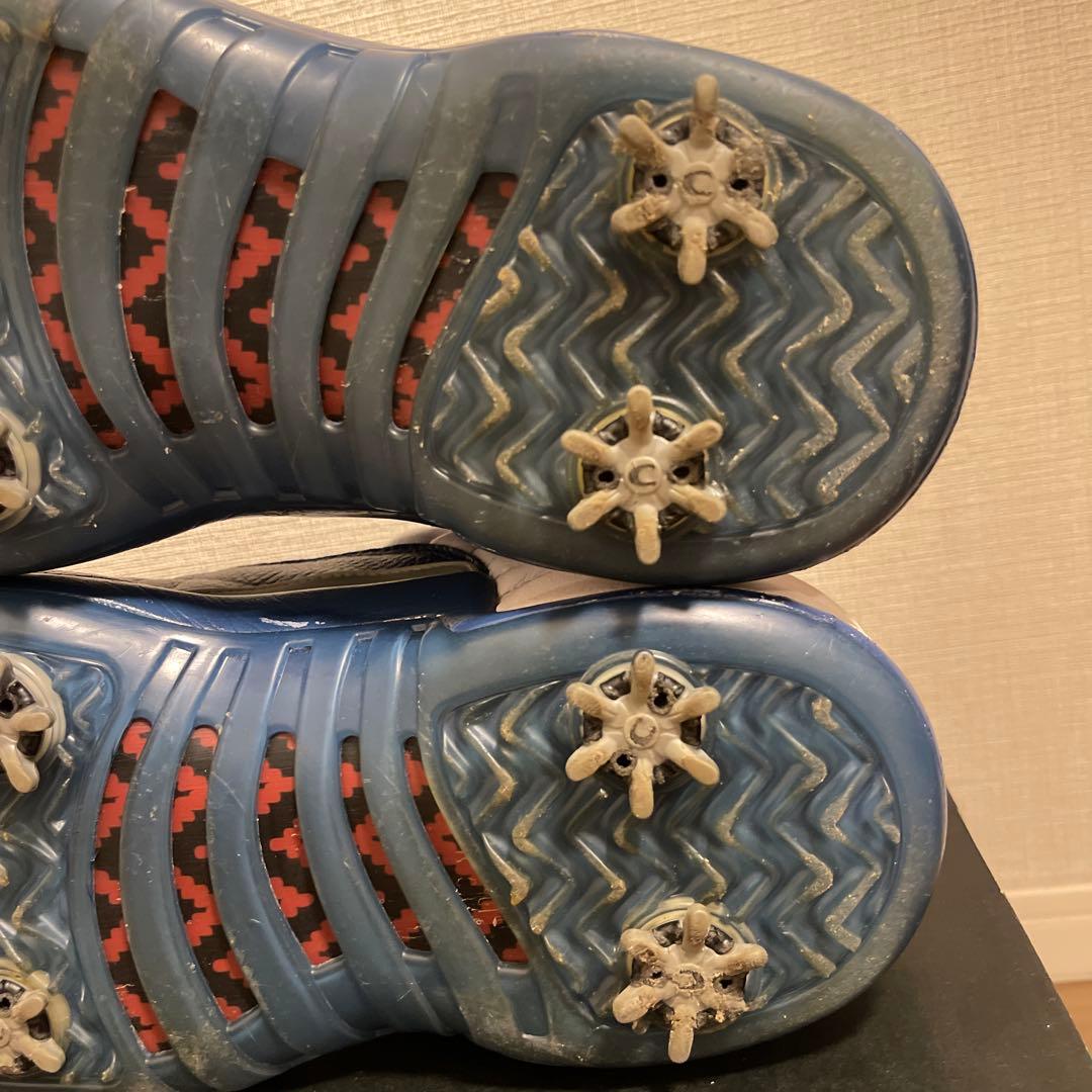 NIKE AIR JORDAN 12 LOW GOLF フレンチ ブルー 29