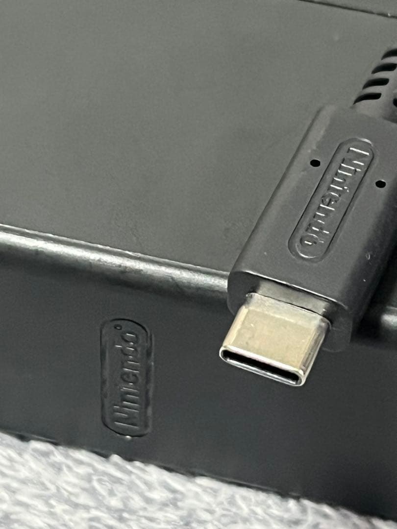 Nintendo Switch Lite ターコイズ ケース 充電器付