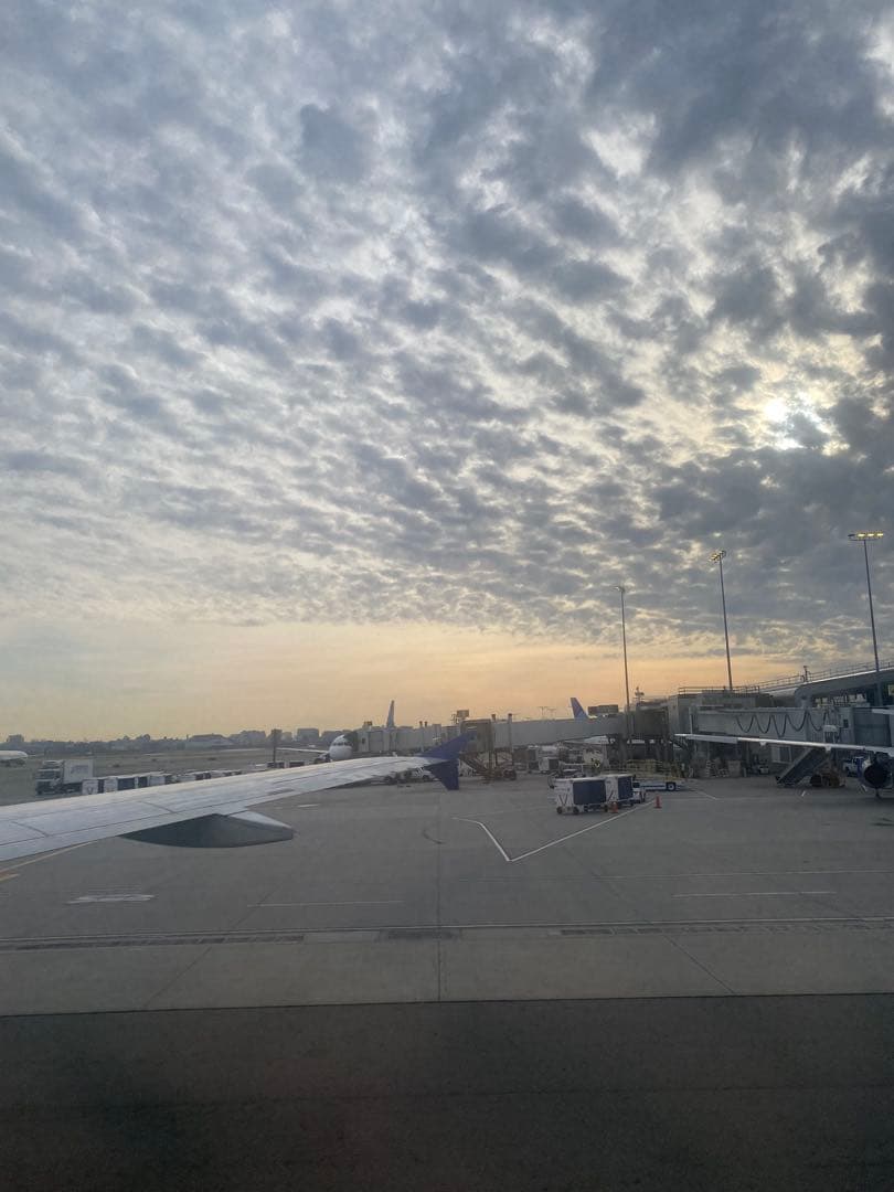 ボディ用　ピーリング