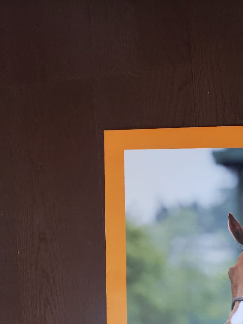 JRAポスター「2013年第54回宝塚記念」 オルフェーヴル