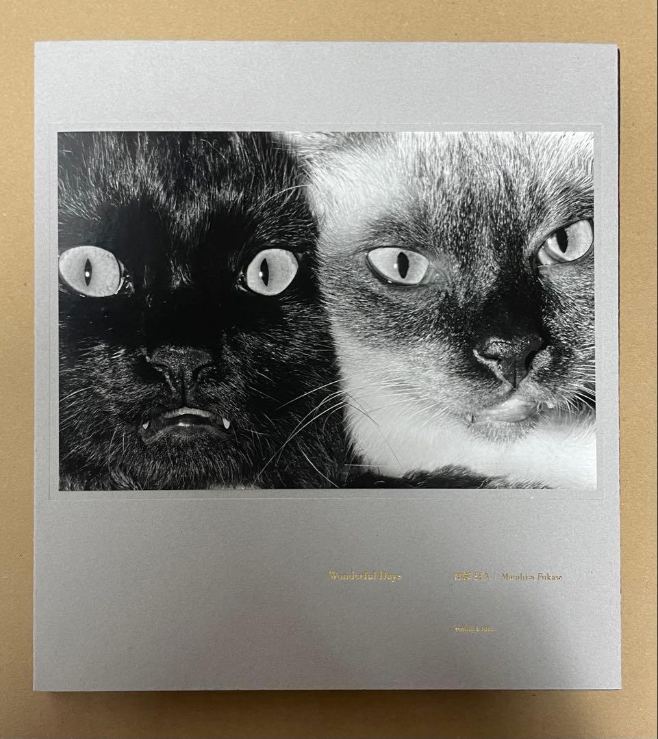 深瀬昌久 写真集 Wonderful Days special edition