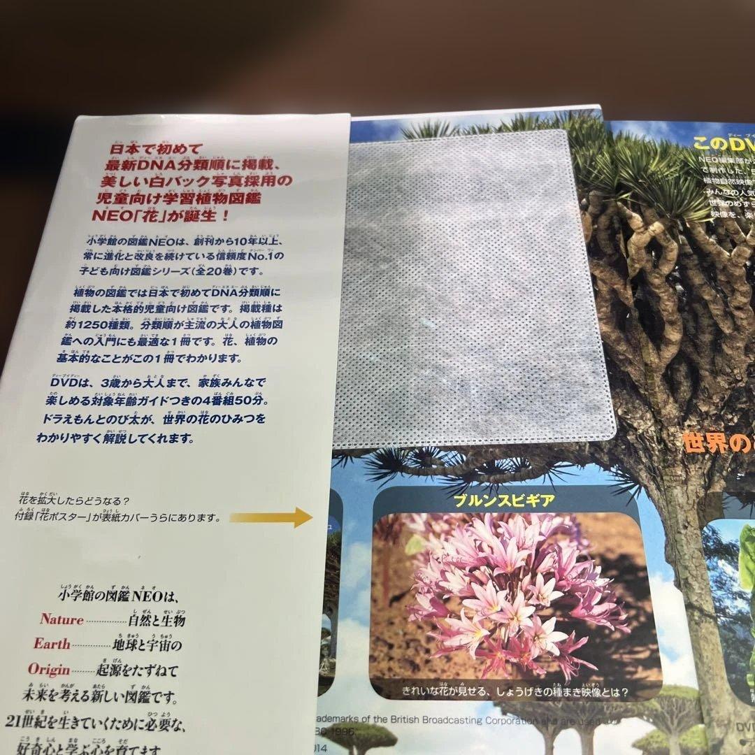 小学館の図鑑 NEO NEO + 【13冊セット】