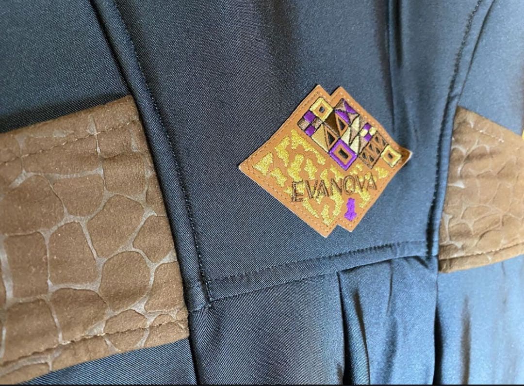 美品！　EVANOVA ミズノ　レディース　Lサイズ　スキーウェア ブラック