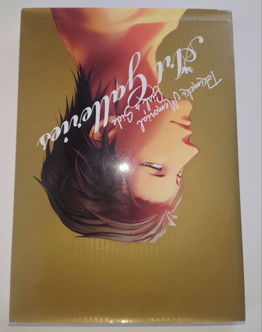 ときめきメモリアルGirl's Side Art Galleries