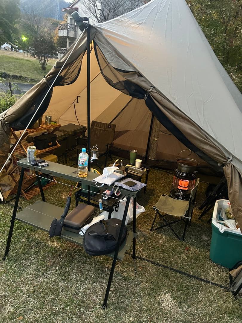 モーニンググローリー シンセティック