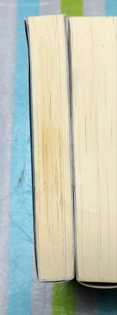 「最弱テイマーはゴミ拾いの旅を始めました。 1〜14巻(既刊全巻)」