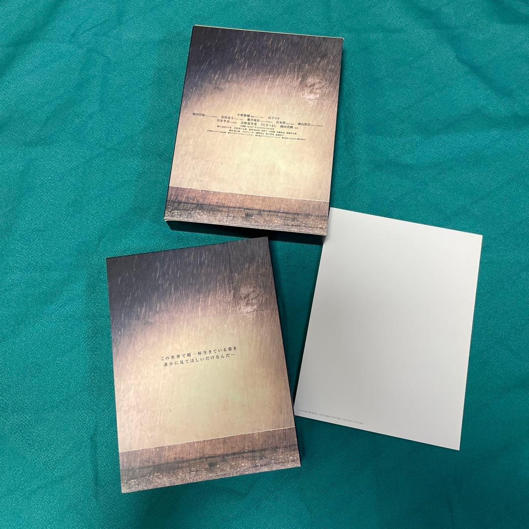 「SHARK DVD-BOX 豪華版〈初回限定生産・5枚組〉」平野紫耀、松村北斗