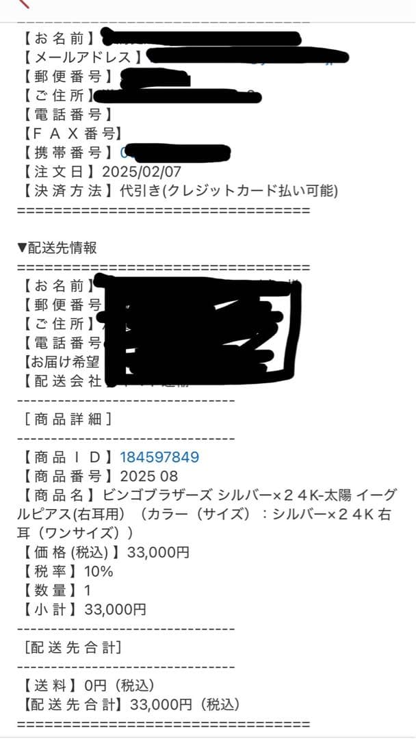 ビンゴブラザーズ　イーグルピアス　片耳用