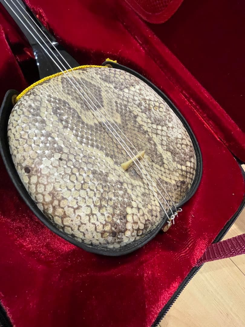 沖縄三線 三味線 ヘビ柄　ケース付 民族楽器 弦楽器