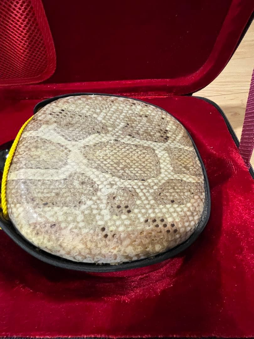 沖縄三線 三味線 ヘビ柄　ケース付 民族楽器 弦楽器