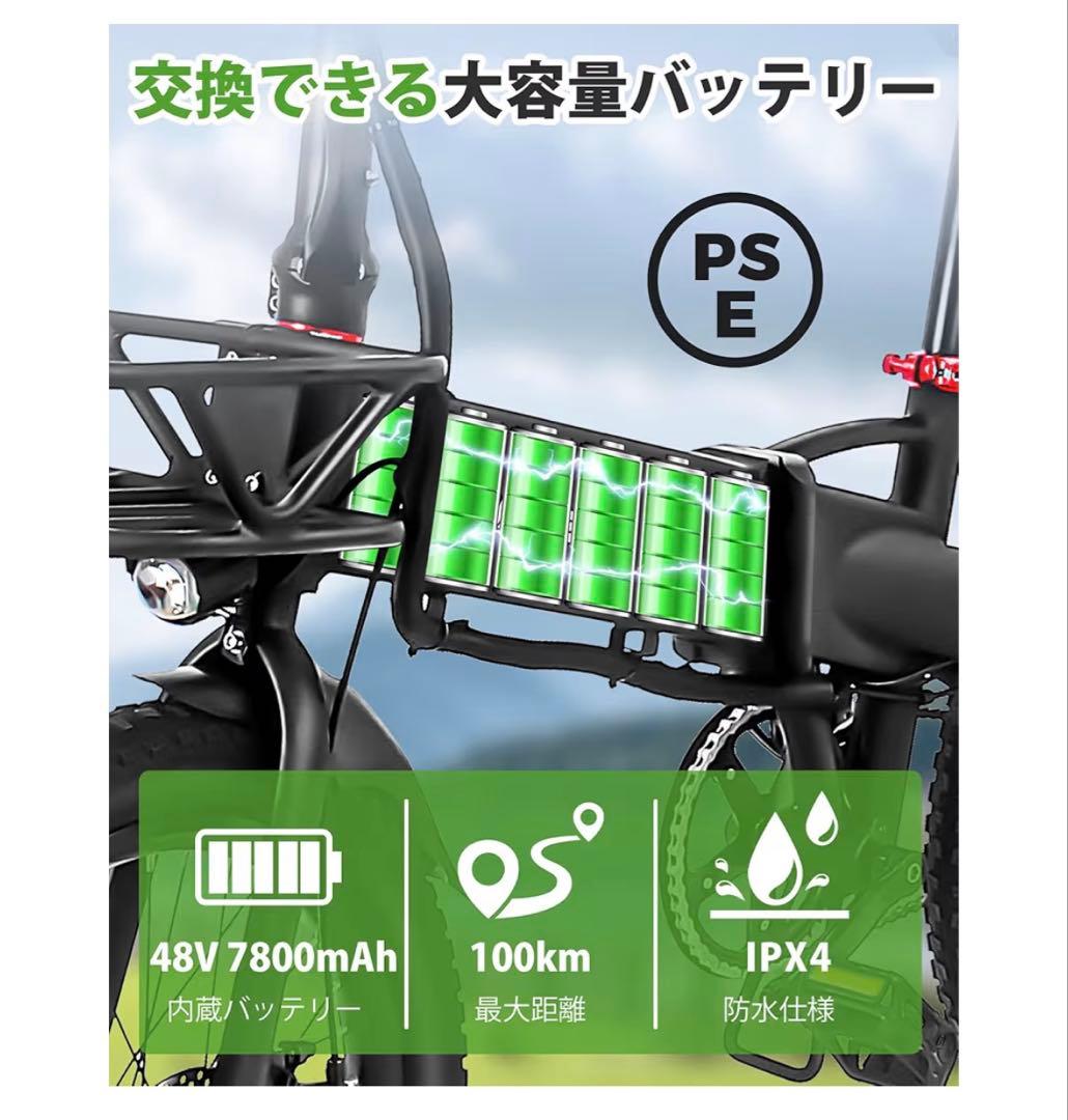 [引取のみ] Ripwheat 電動アシスト自転車 ブラック 48V